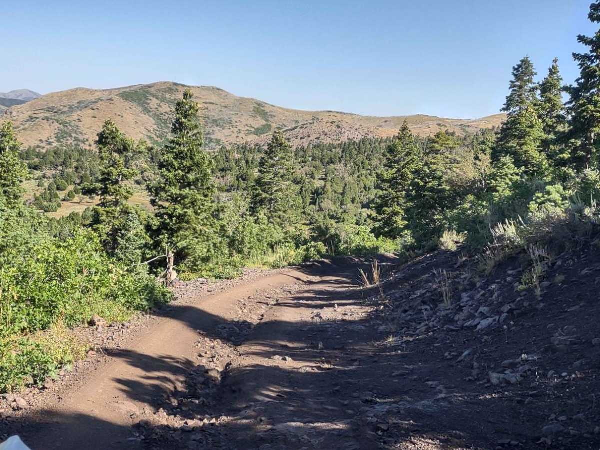 FS Trail #41040 photo 6