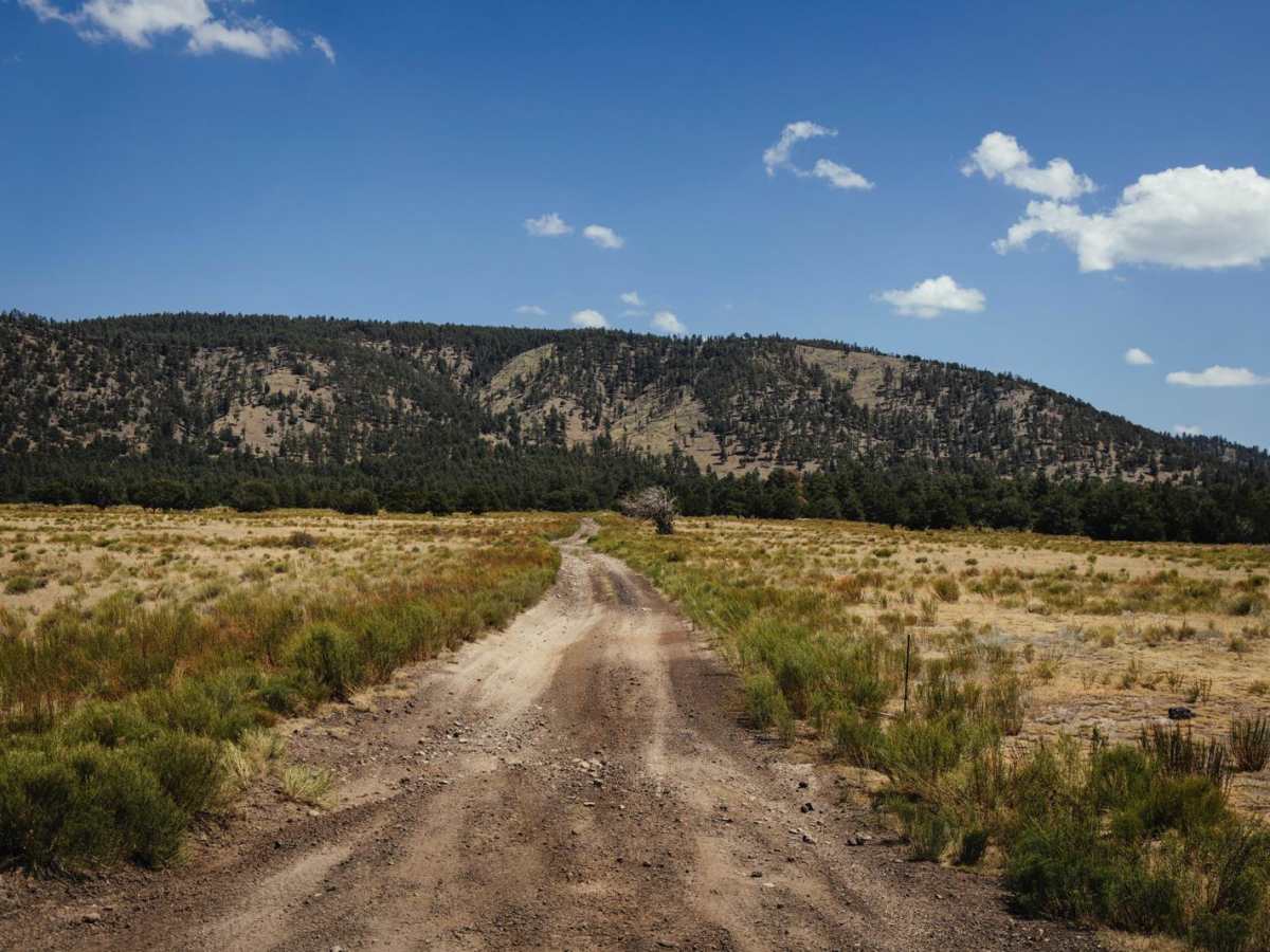 Old 101 Road trail photo
