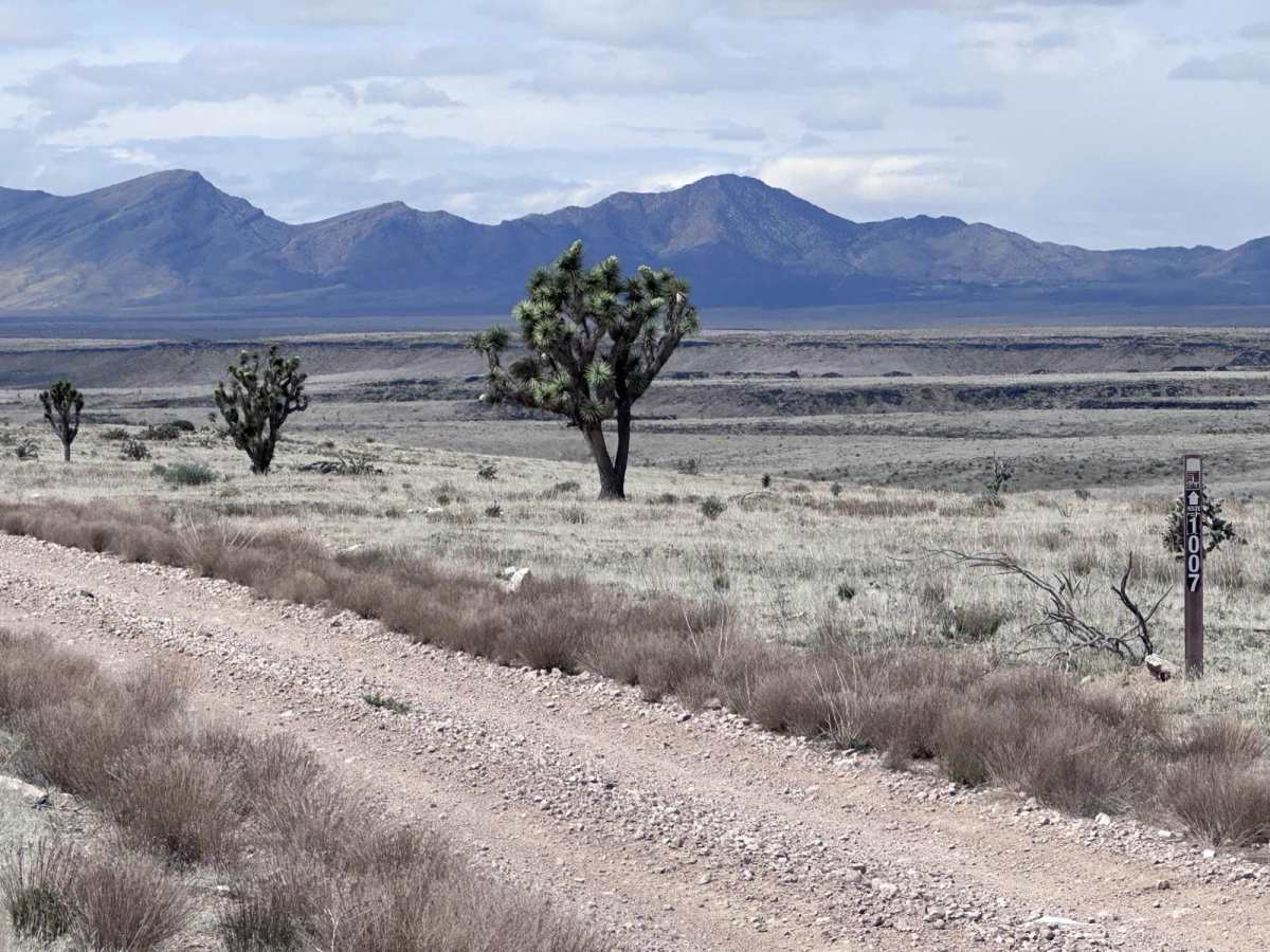 Pakoon Basin - BLM 1007 photo 2