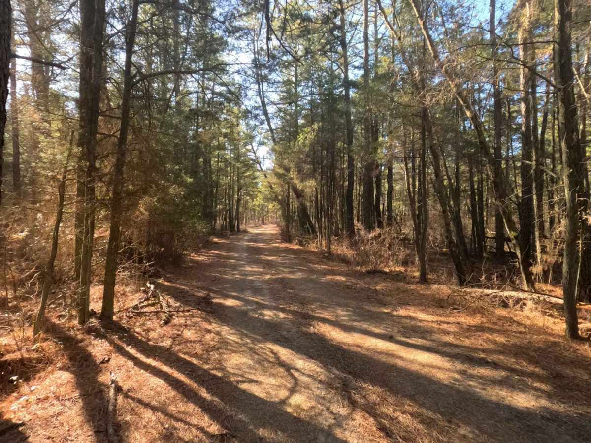 Mount Sandy Ridge Road photo 3