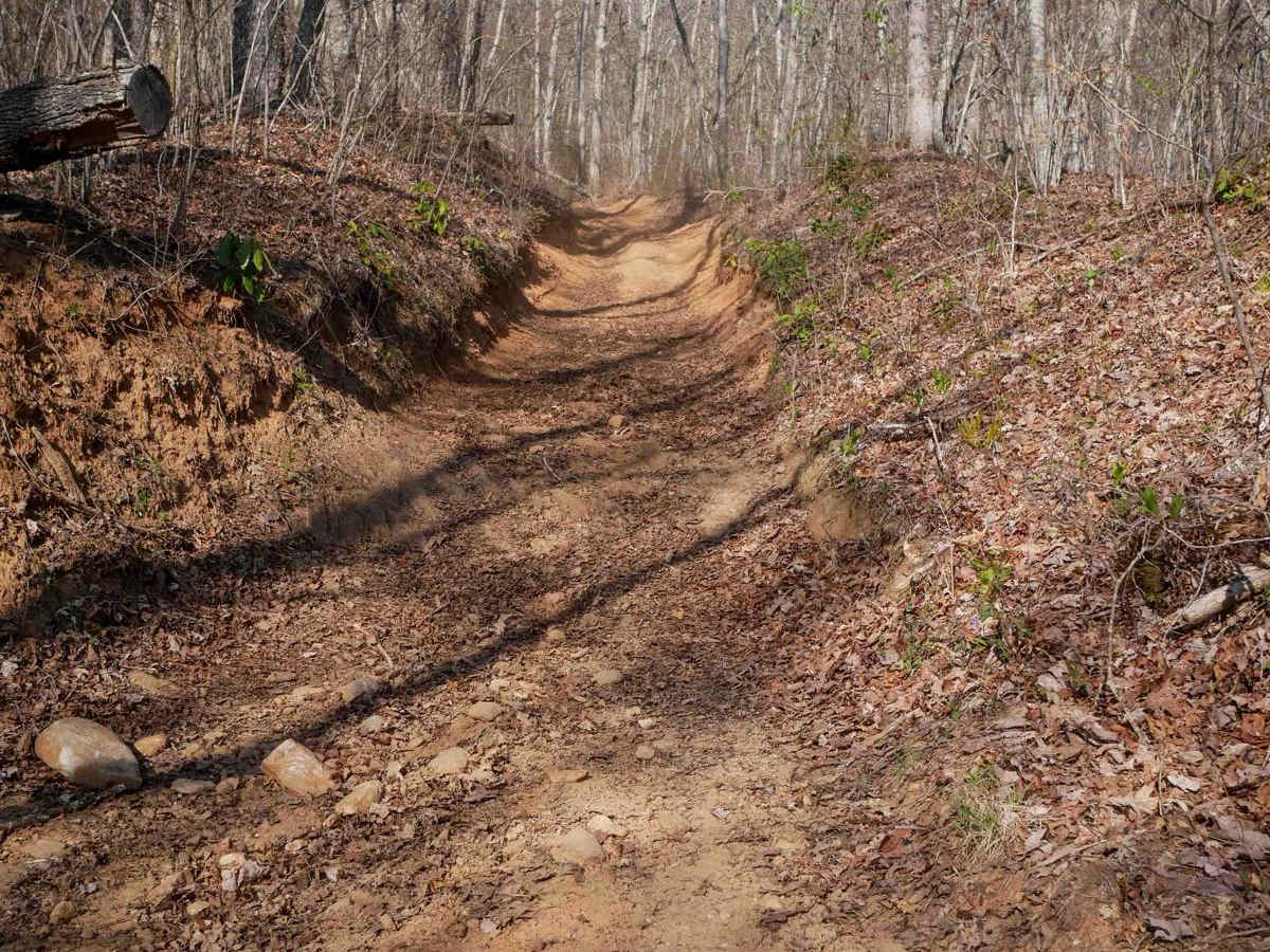 Black Mountain Trail 3 trail photo