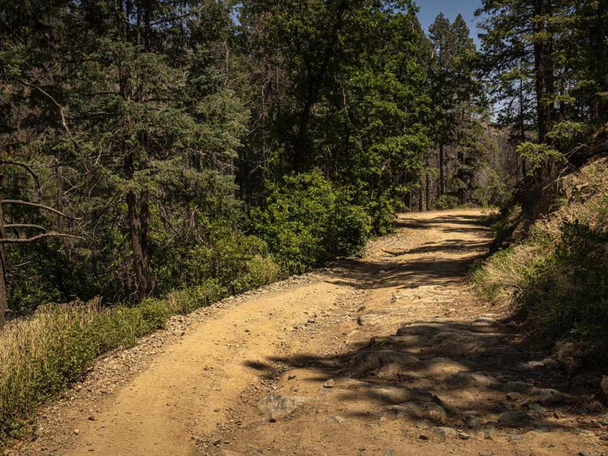 Senator Highway / Crown King Road photo 5