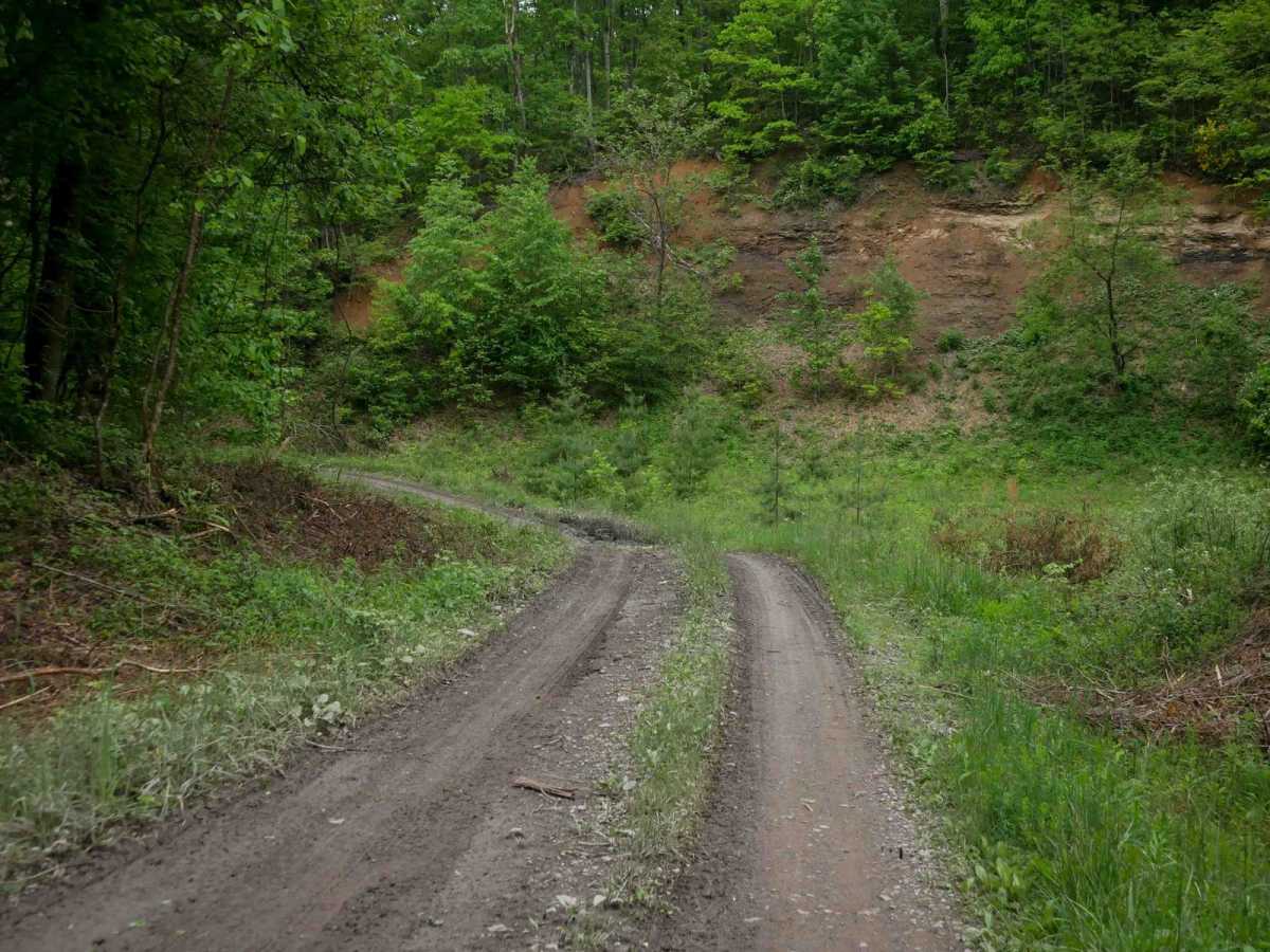J34 photo 3