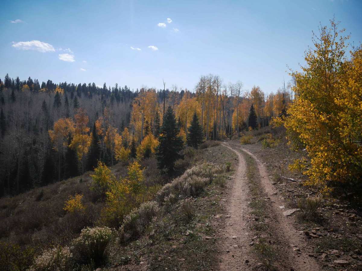 East Fork Dry Creek ATV Trail trail photo