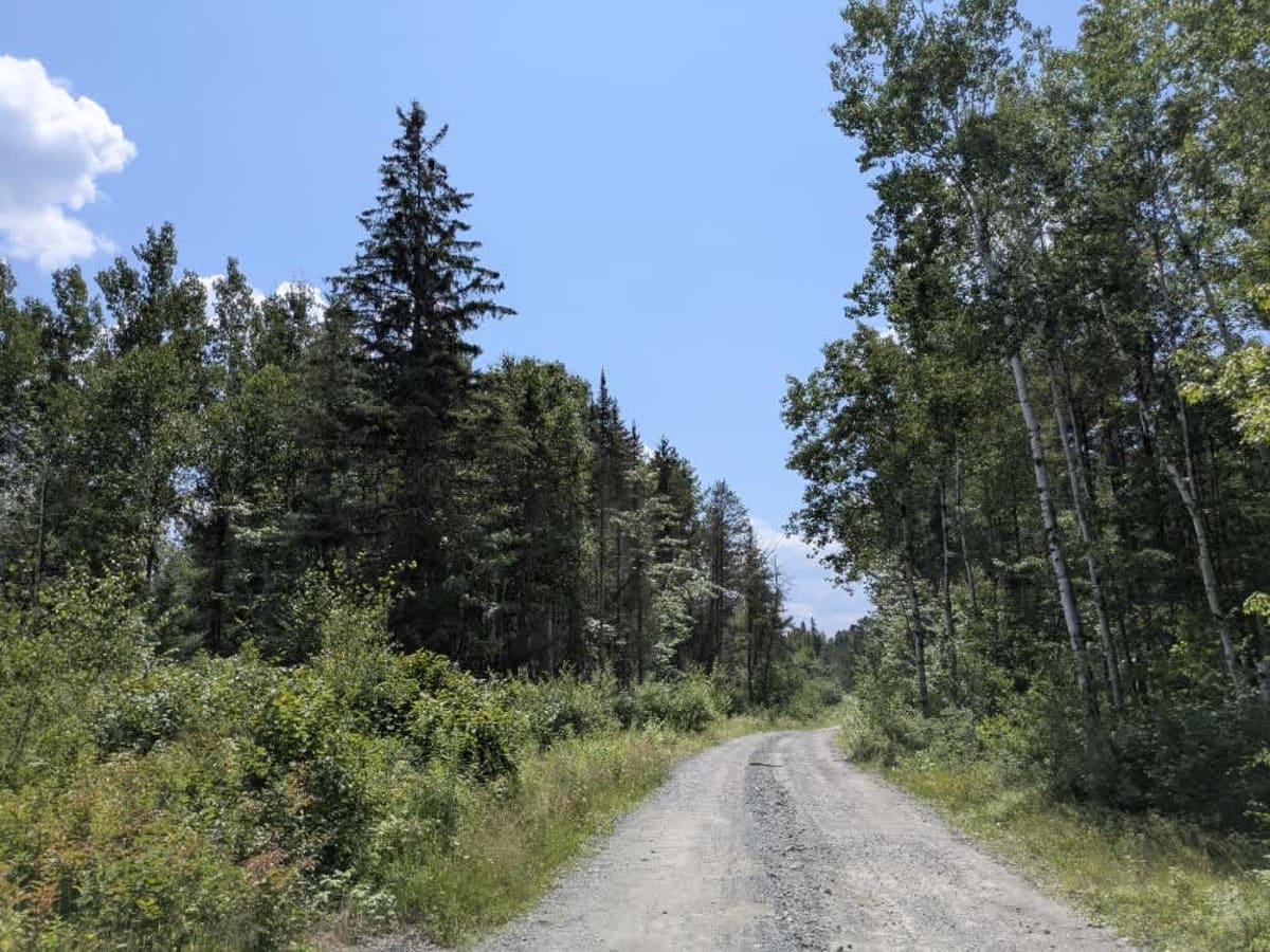 Birch Lake Access Road photo 5