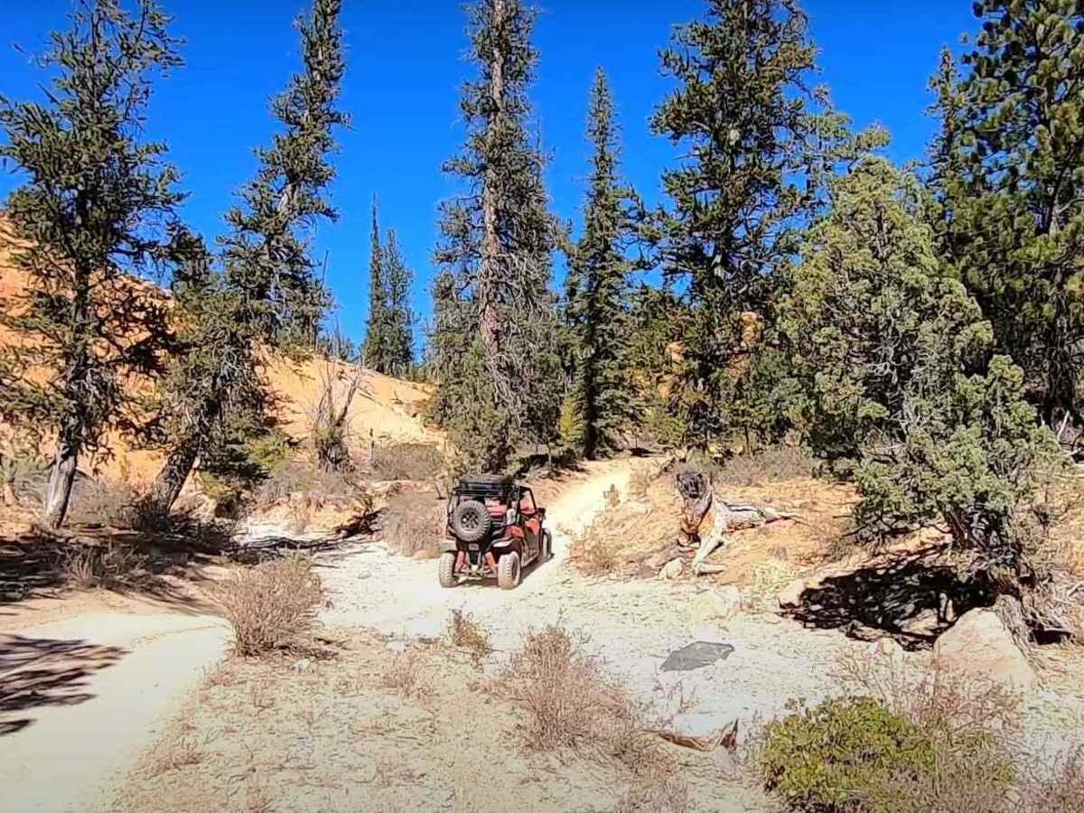 Barney Cove ATV Trail-NPS33014 photo 6