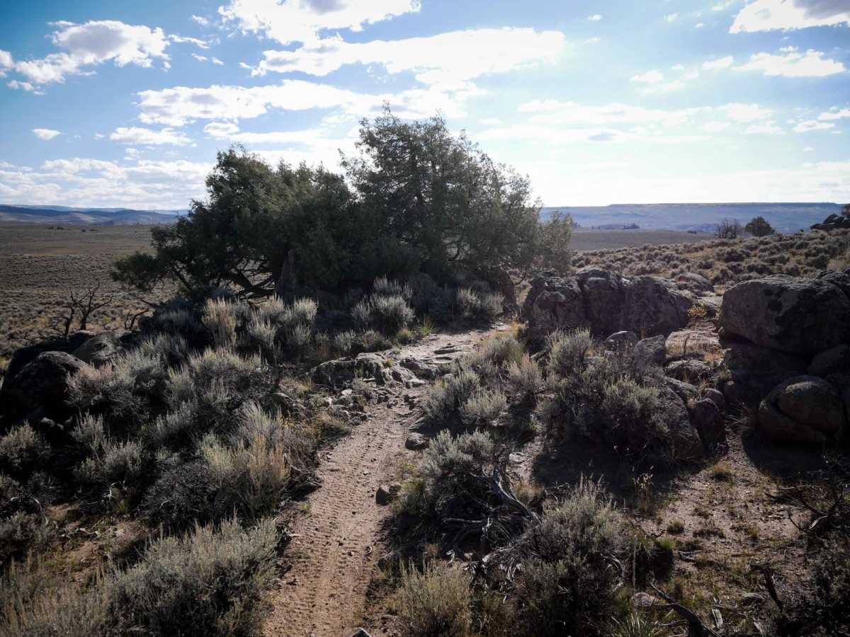 Skyline Spur photo 6