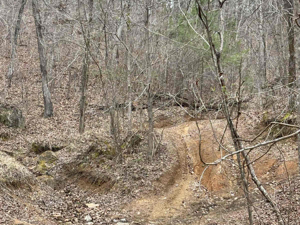 504.1 trail photo