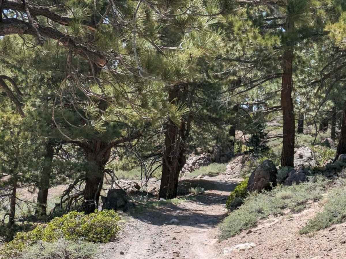 Shady Rest Park Overlook photo 6