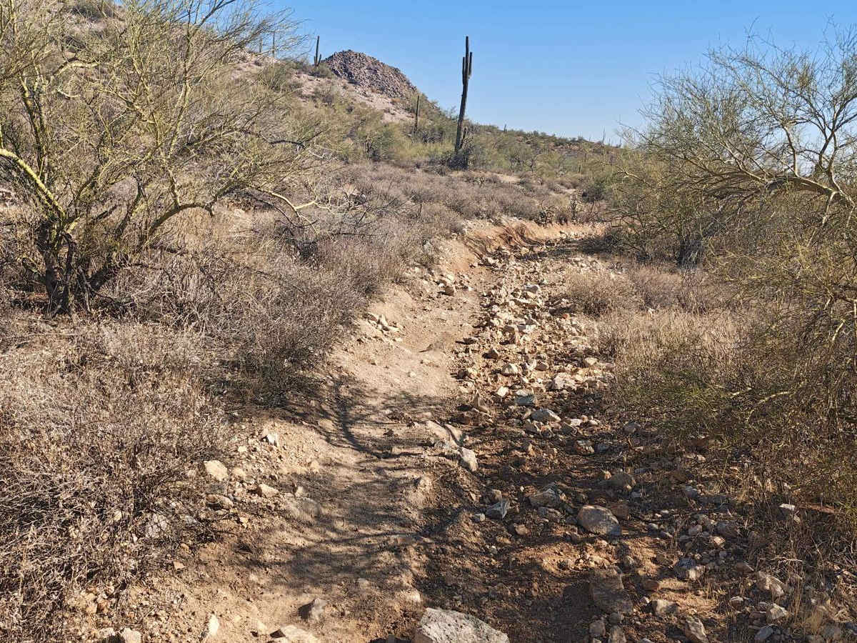 32137 - Single Track photo 6