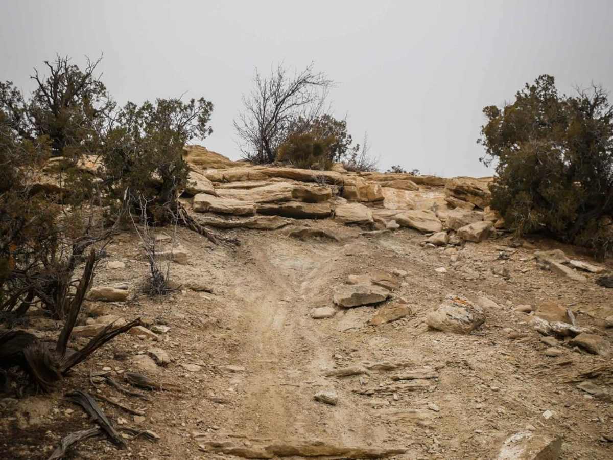 Arch Loop Trail trail photo