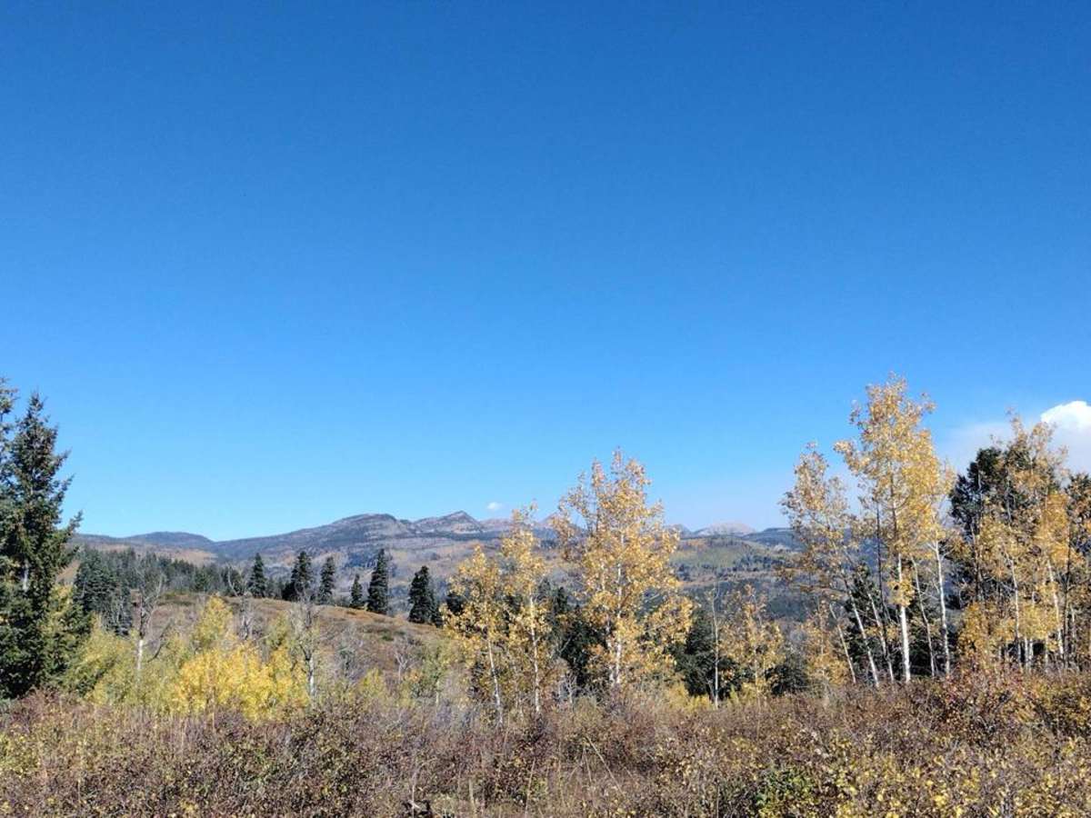 Cedar Hollow OHV Trail FS 80203 photo 2
