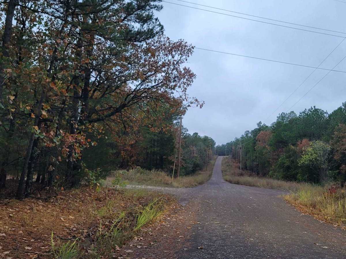 East Poteau Mountain photo 2