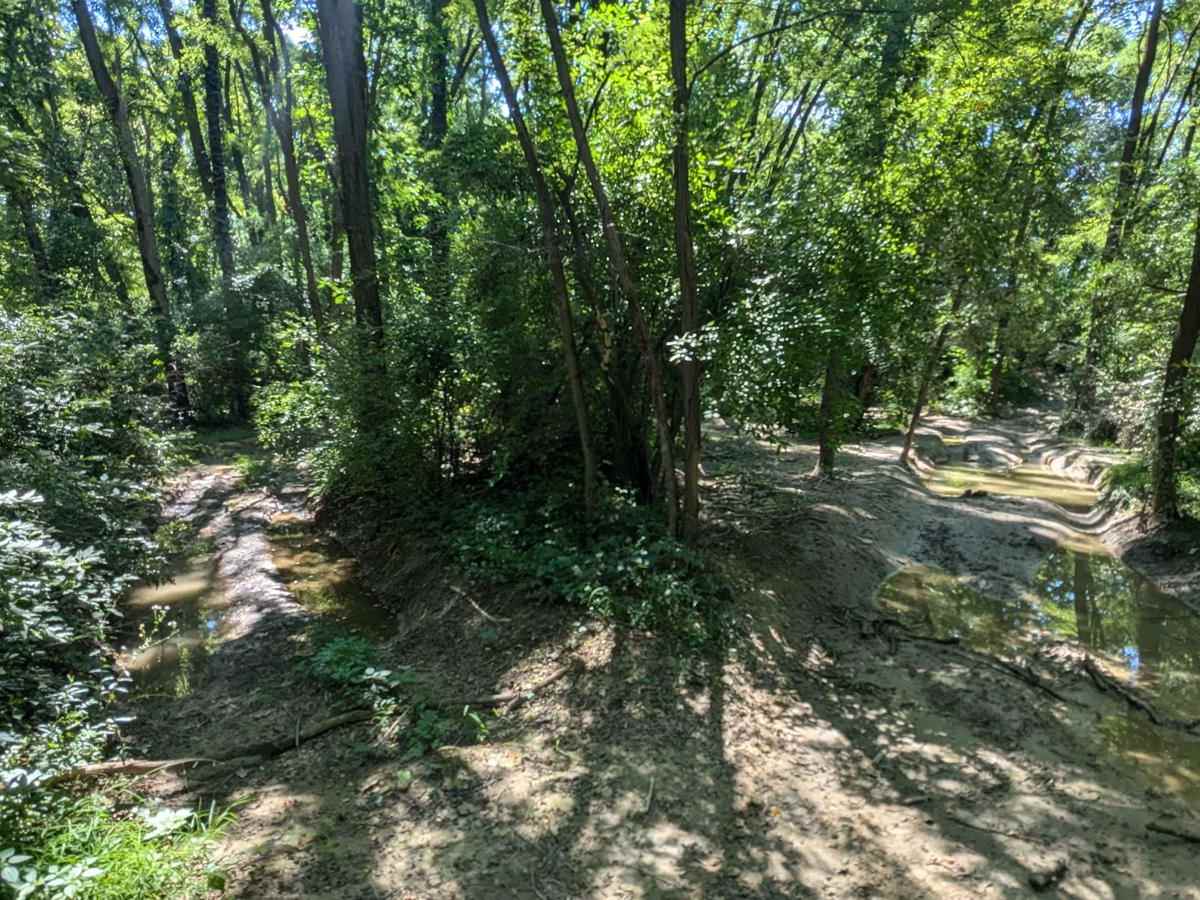 Whispering Woods photo 4