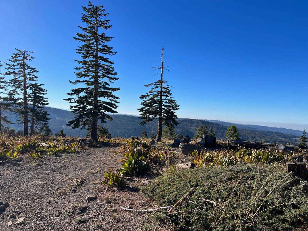 Pinecrest Peak photo 3