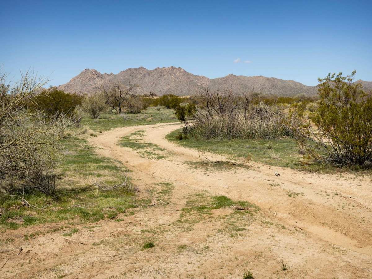 Lower Loop Trail trail photo