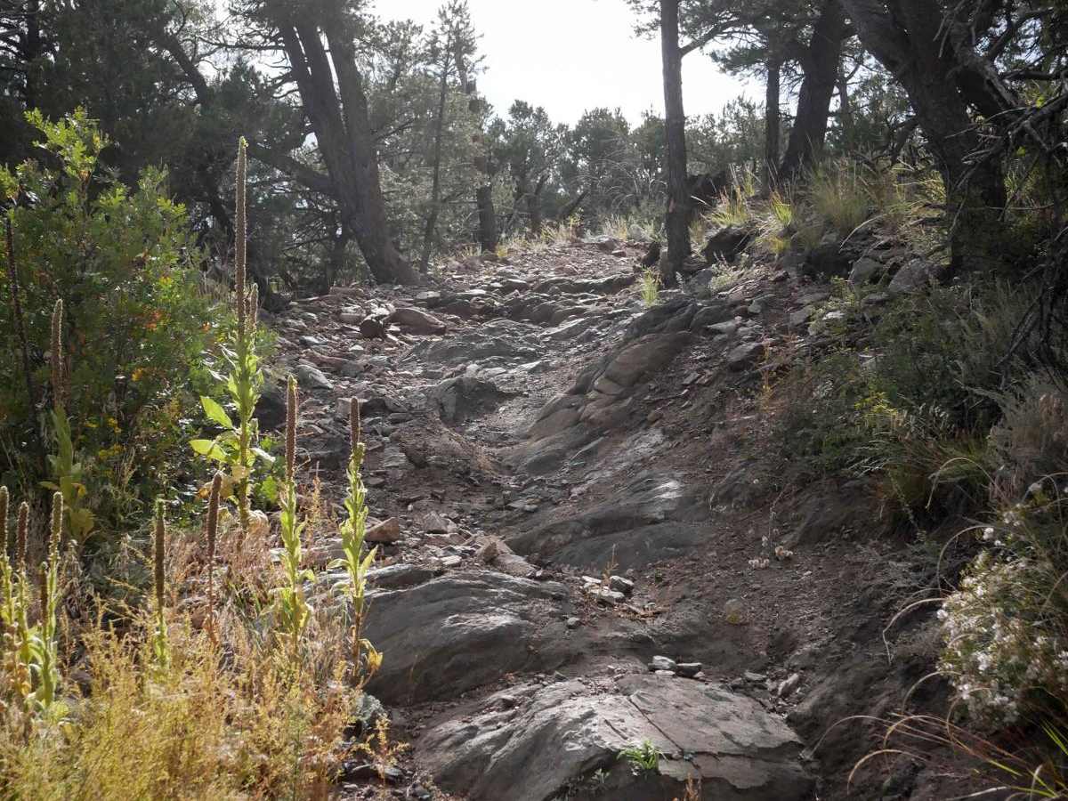 6061A ATV trail photo