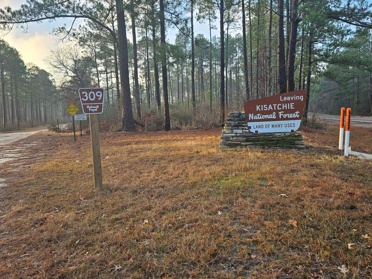 Kurthwood Road trail photo