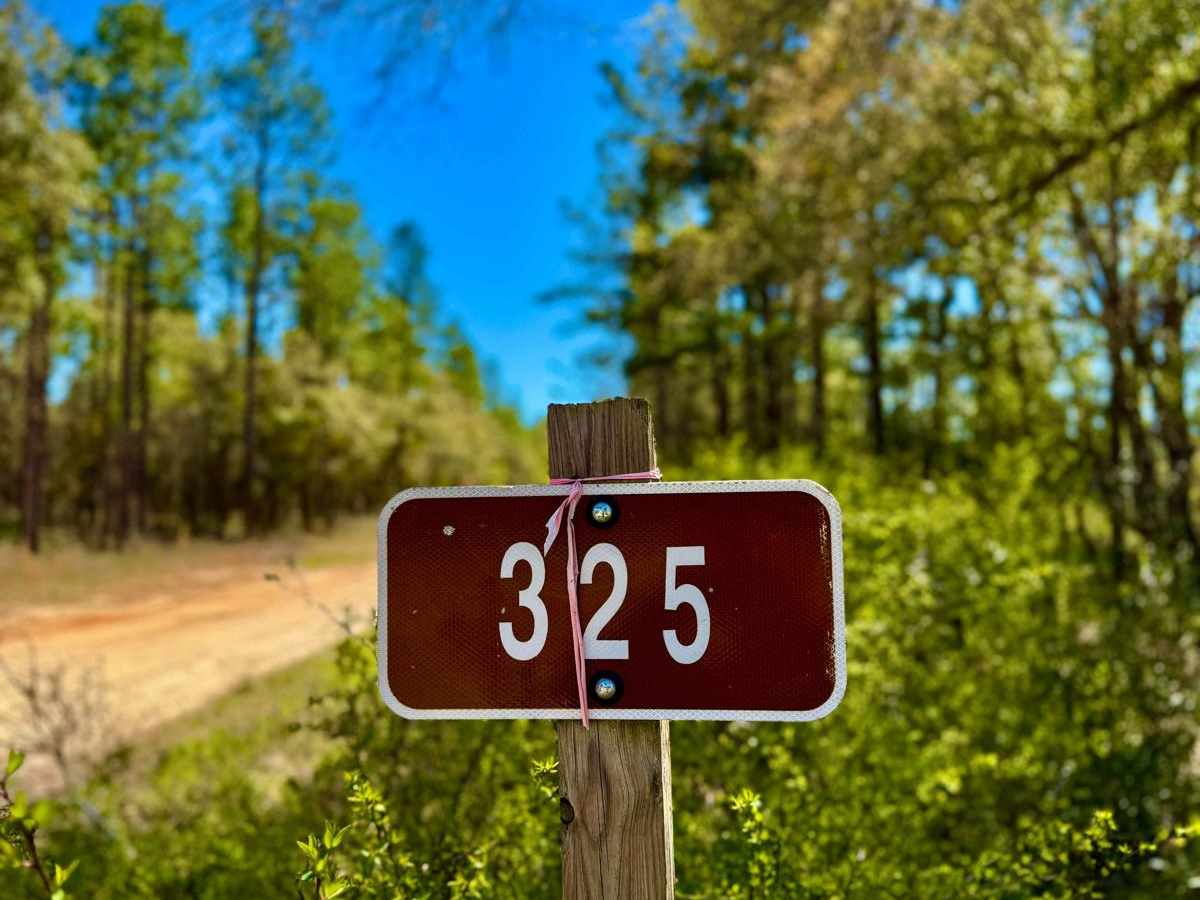 Baseline 325 trail photo