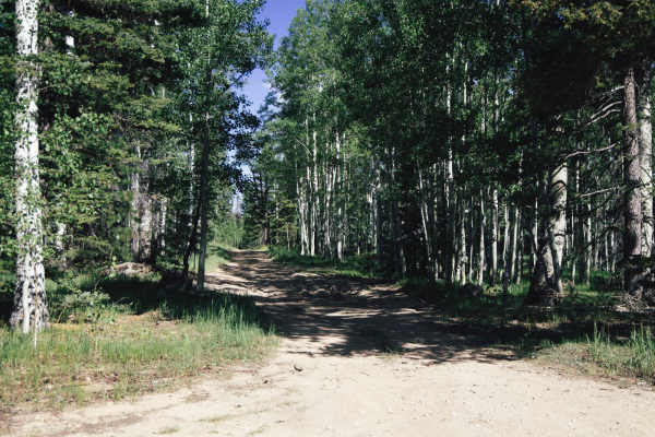 Tater Canyon