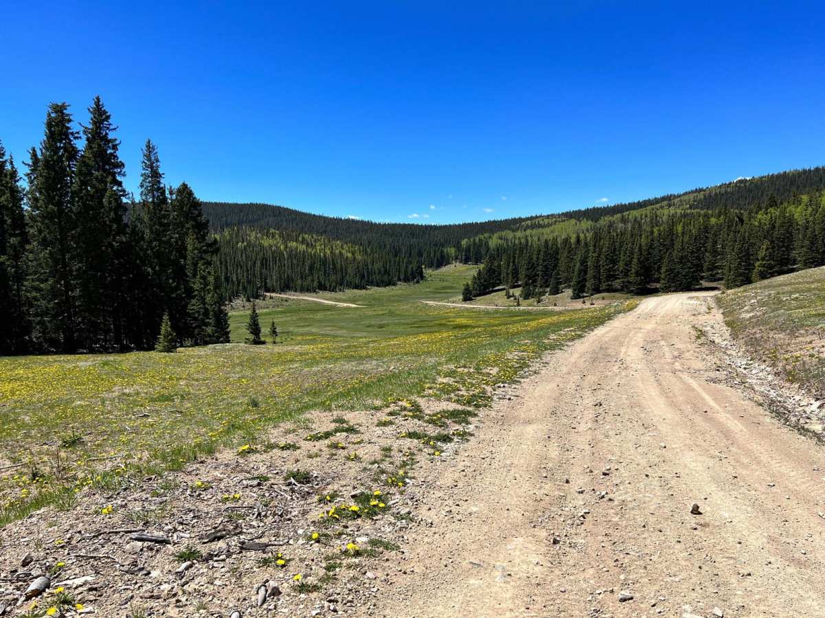 Cabresto Canyon - FS 134 photo 6
