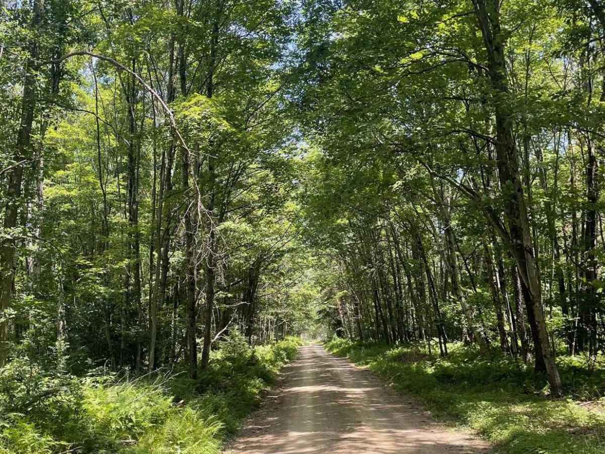Schwenks Gap Road photo 3