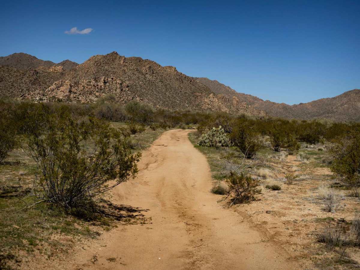 Charlie's Loop photo 5