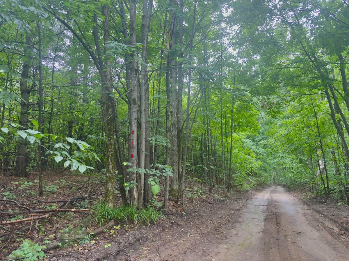 Deadman Hill Road photo 2