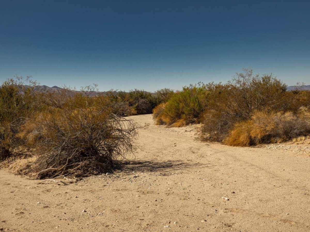 Bullard Wash South trail photo