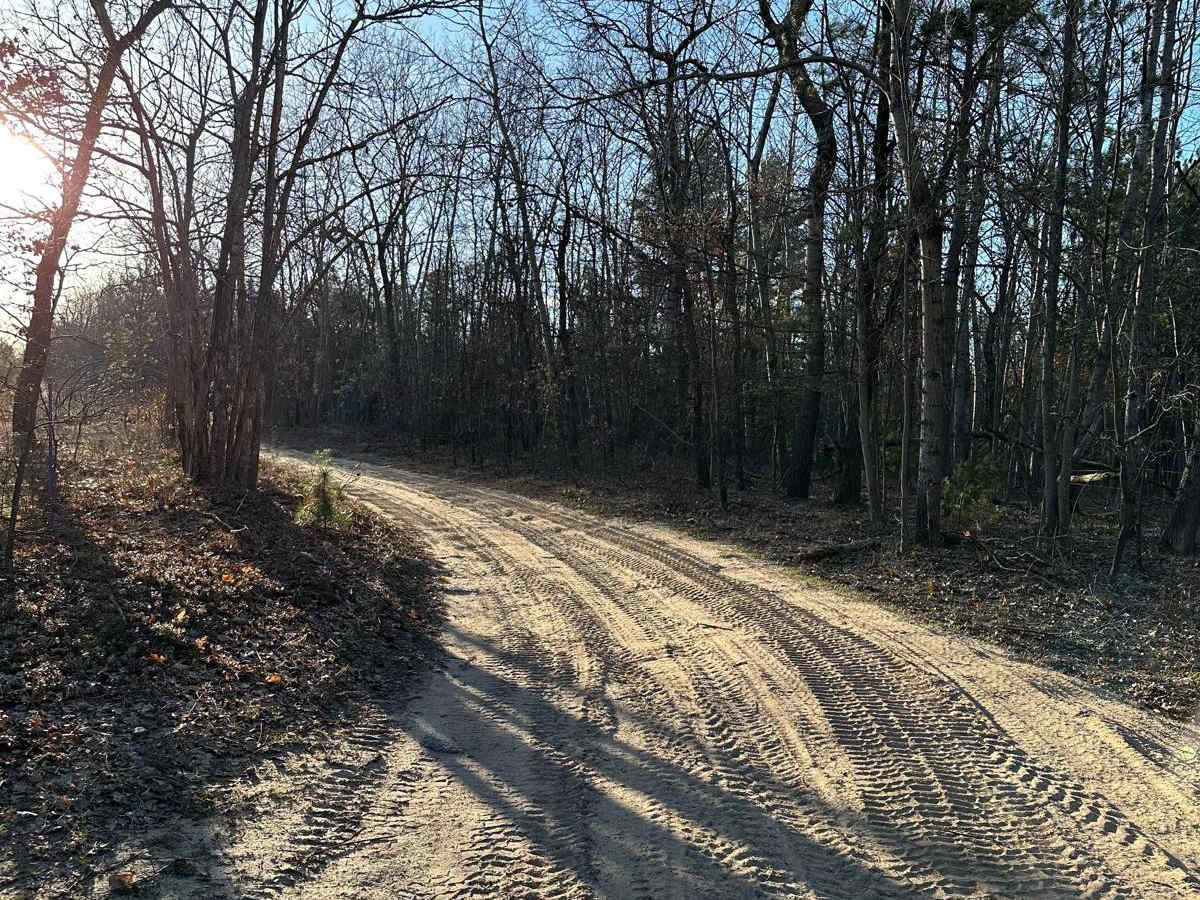 Fawn Road photo 2