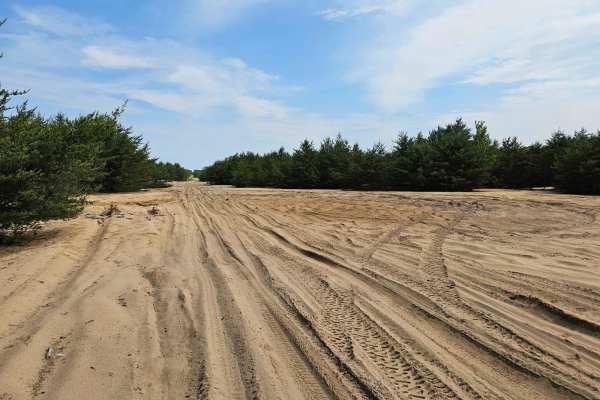 Hartwick Pines to CR 612 Pipeline Trail