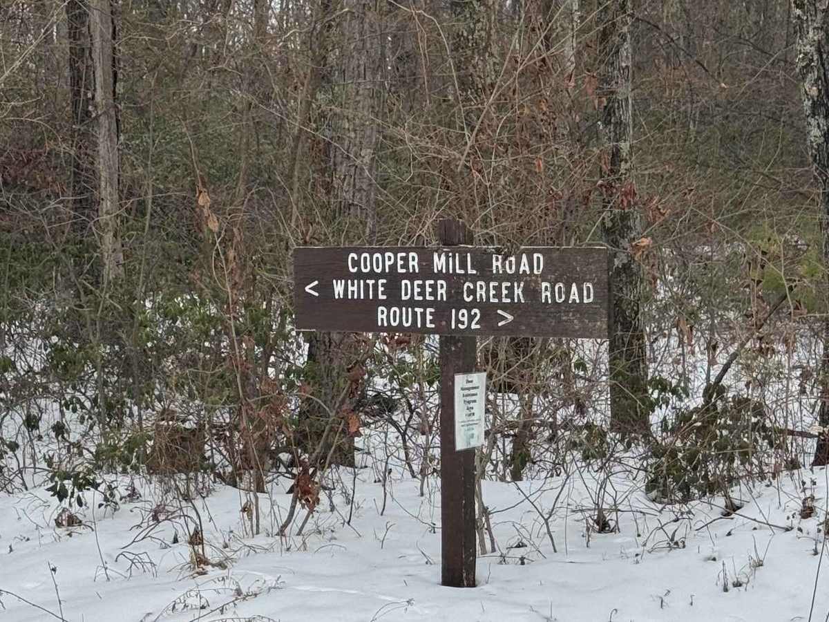 Cooper Mill Road photo 5