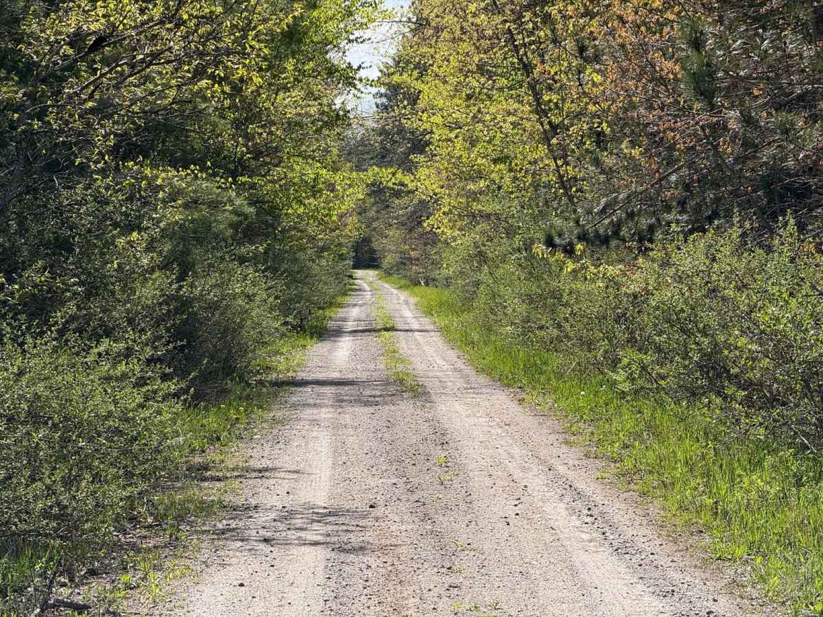 FS 4317-3930 trail photo