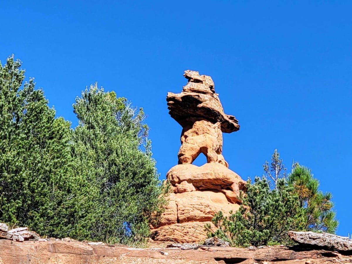 Buckskin Wash Road (508) trail photo