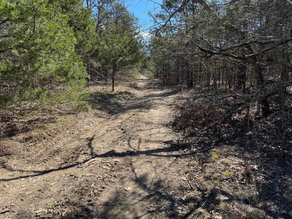 Brushy Ridge Spur D - FRS 606D photo 3