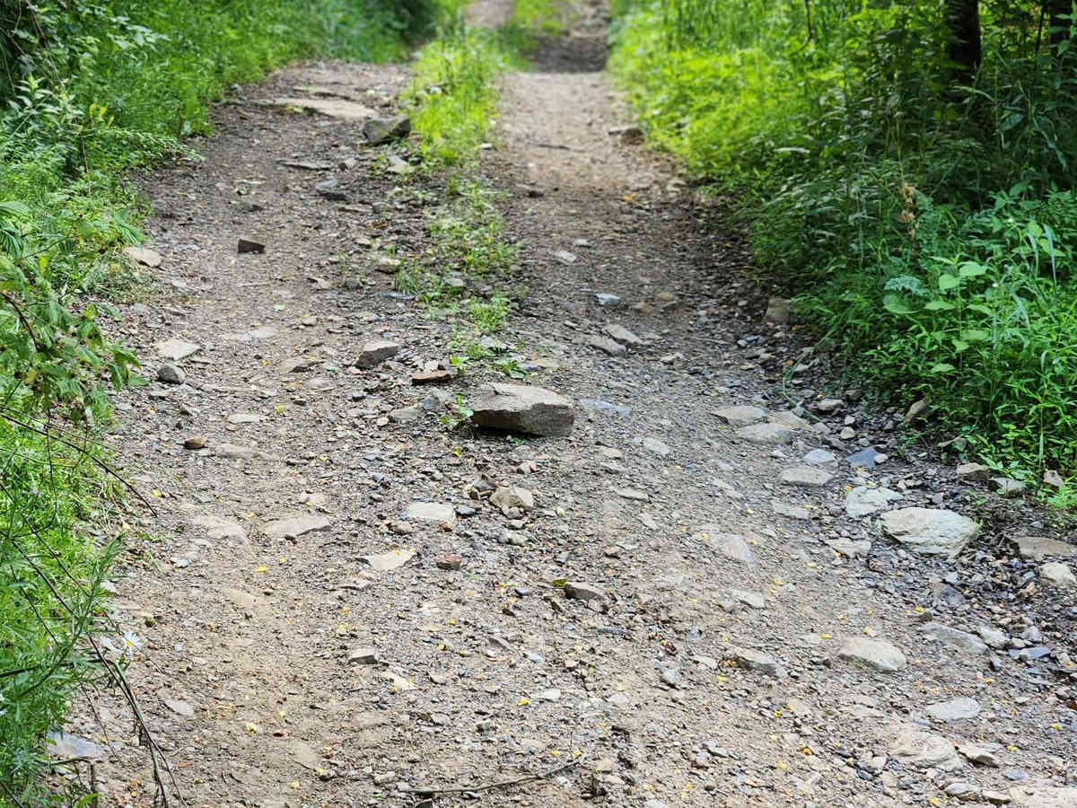 Trail 7 - Rock Run Recreation Area photo 5