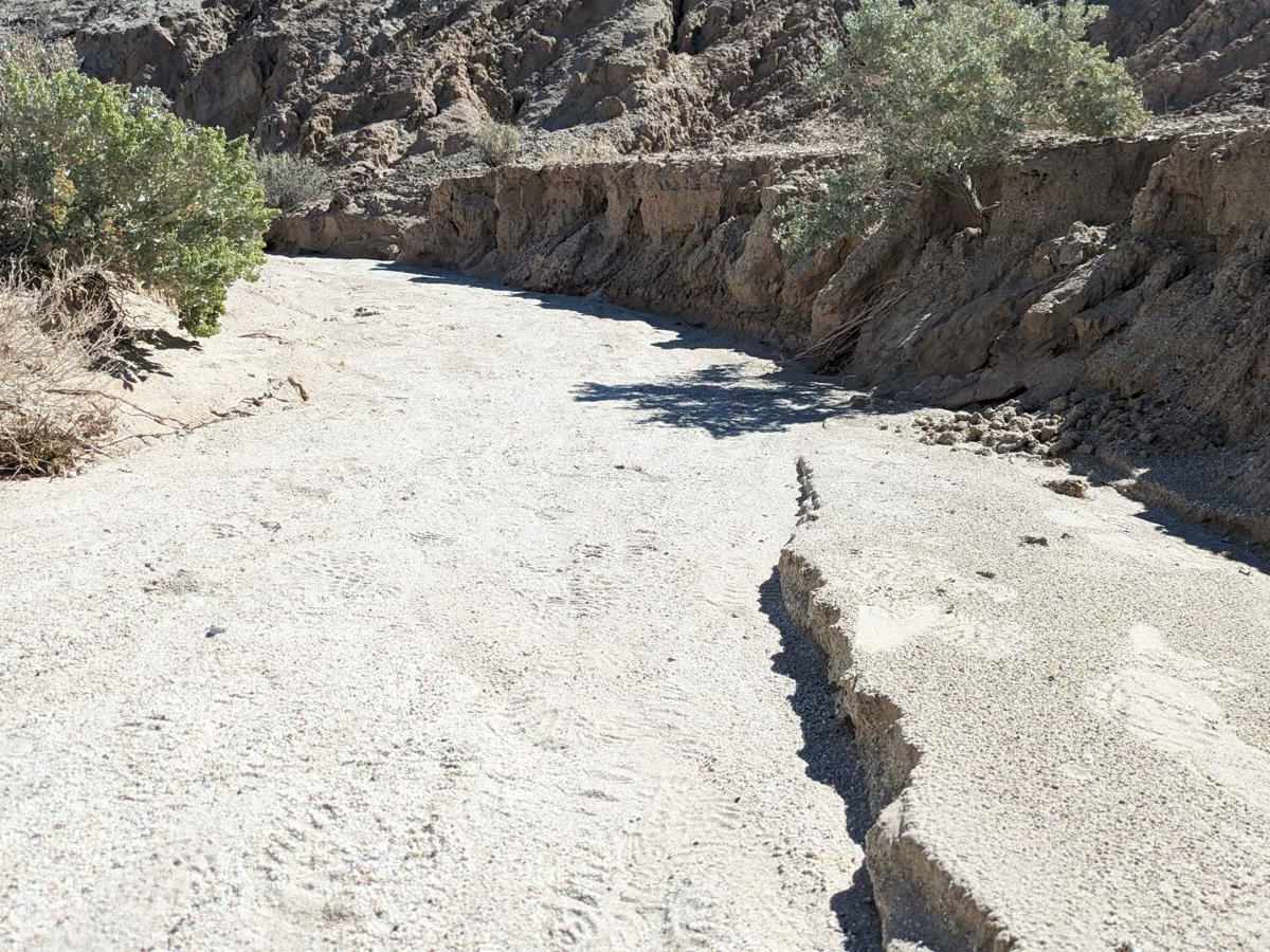 Truckhaven Trail Side Loop photo 2