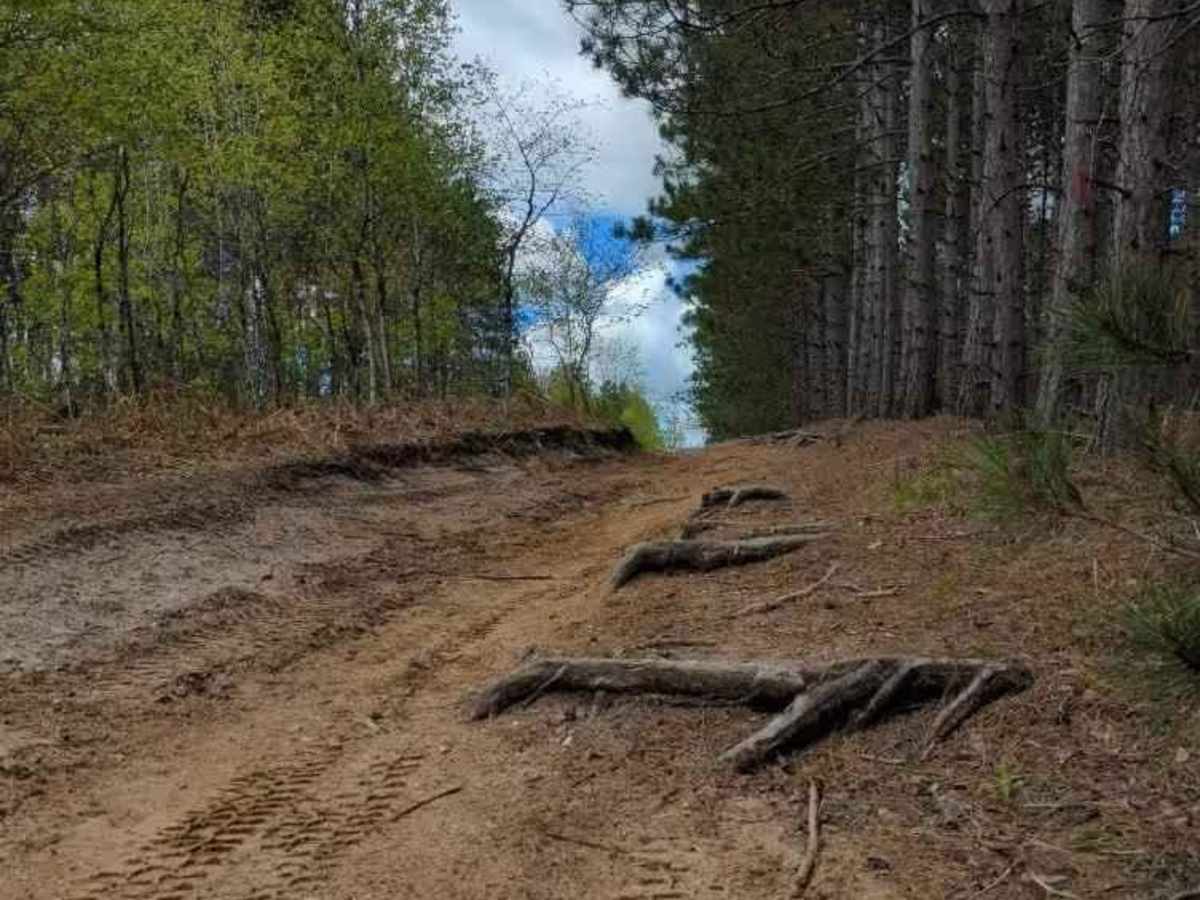 Pine Root Pass photo 2