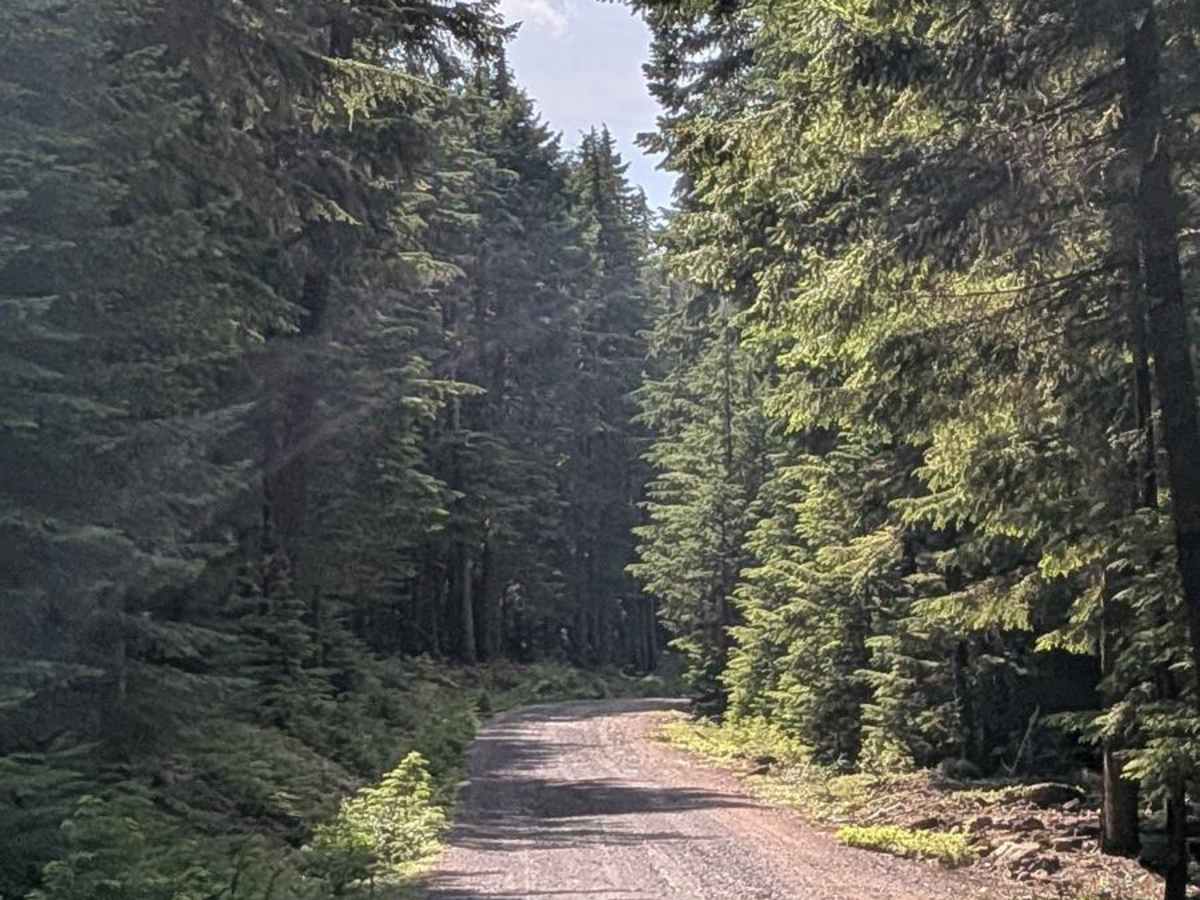 Timothy Lake 4280000 photo 3