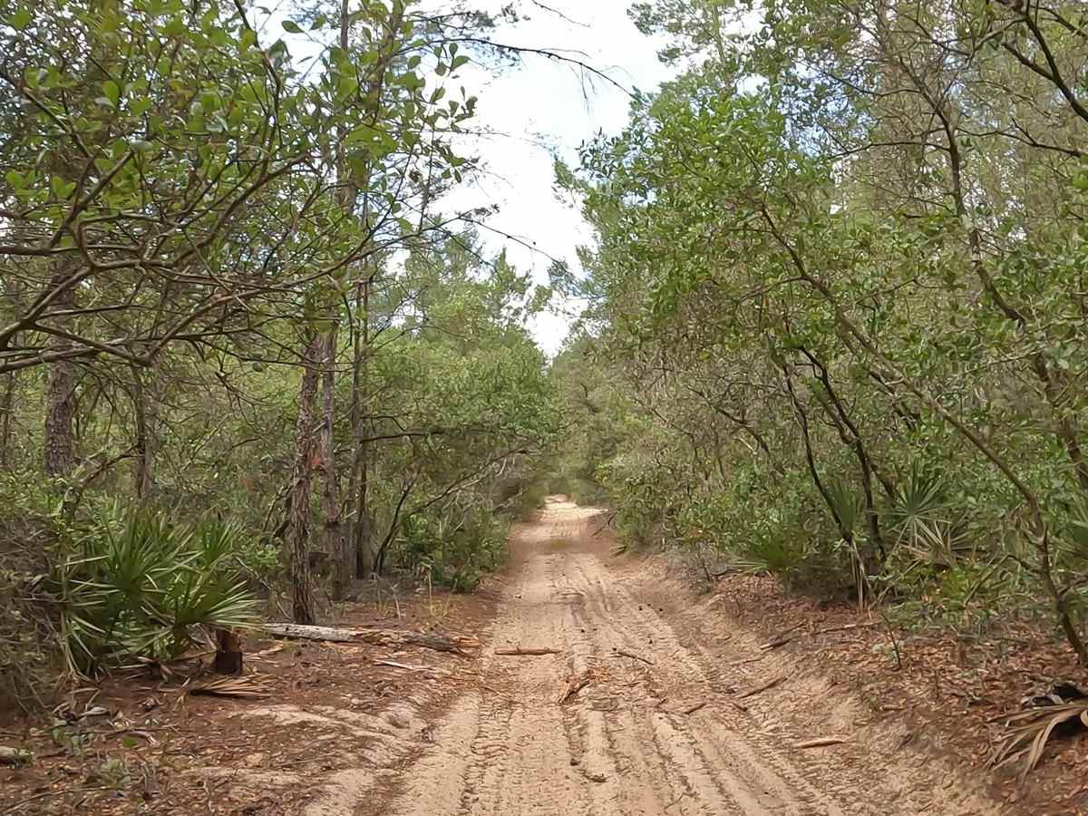 FS 221 F trail photo