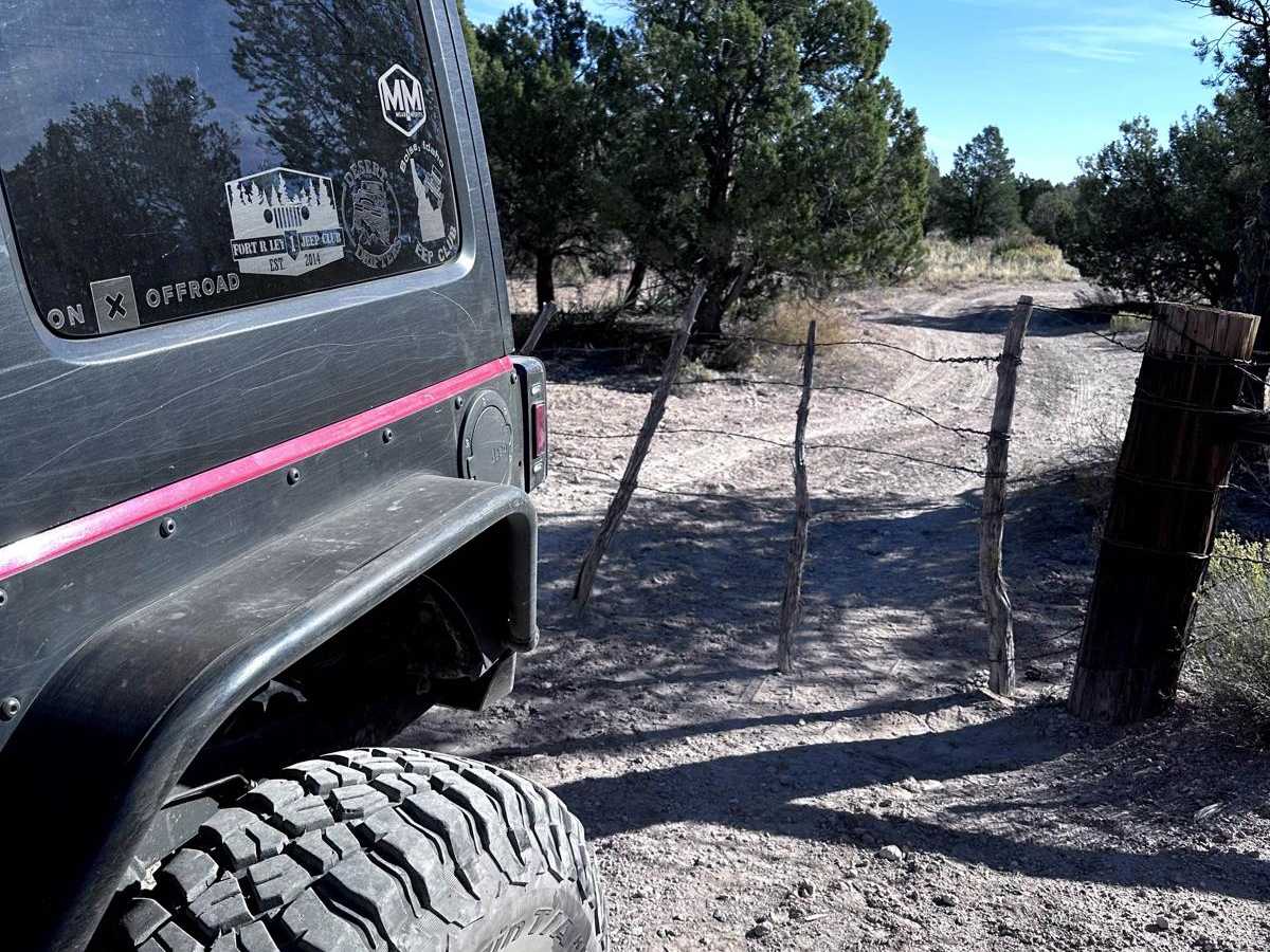 Skeleton Bones Trail photo 3