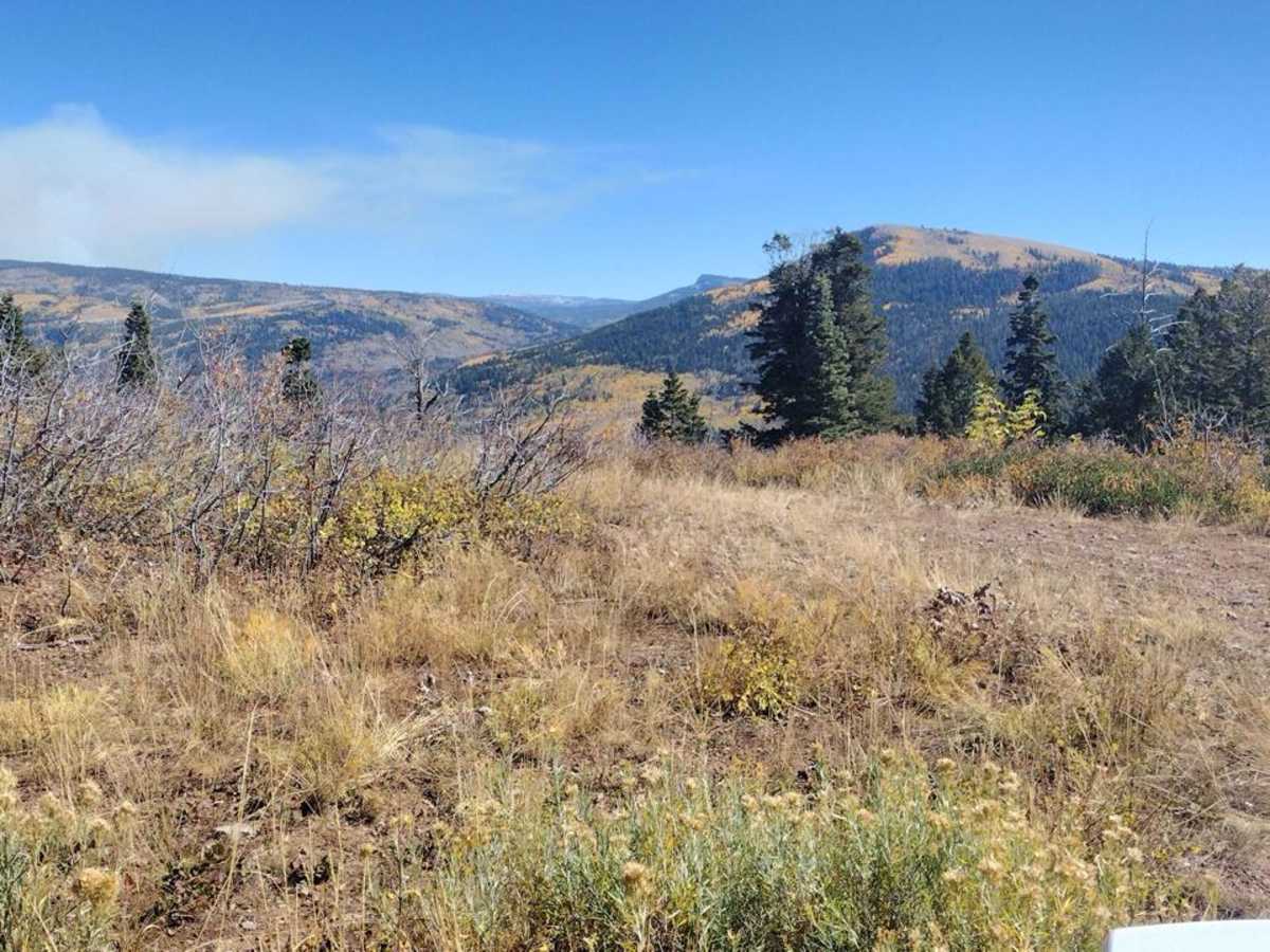 Cedar Hollow OHV Trail FS 80203 photo 4