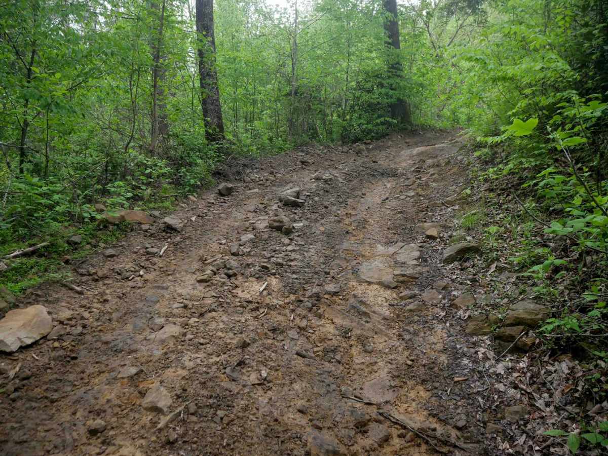 OP 18 trail photo