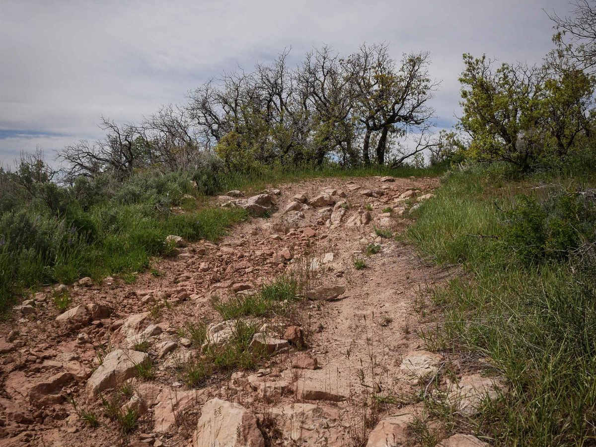 Long Hollow ATV photo 3