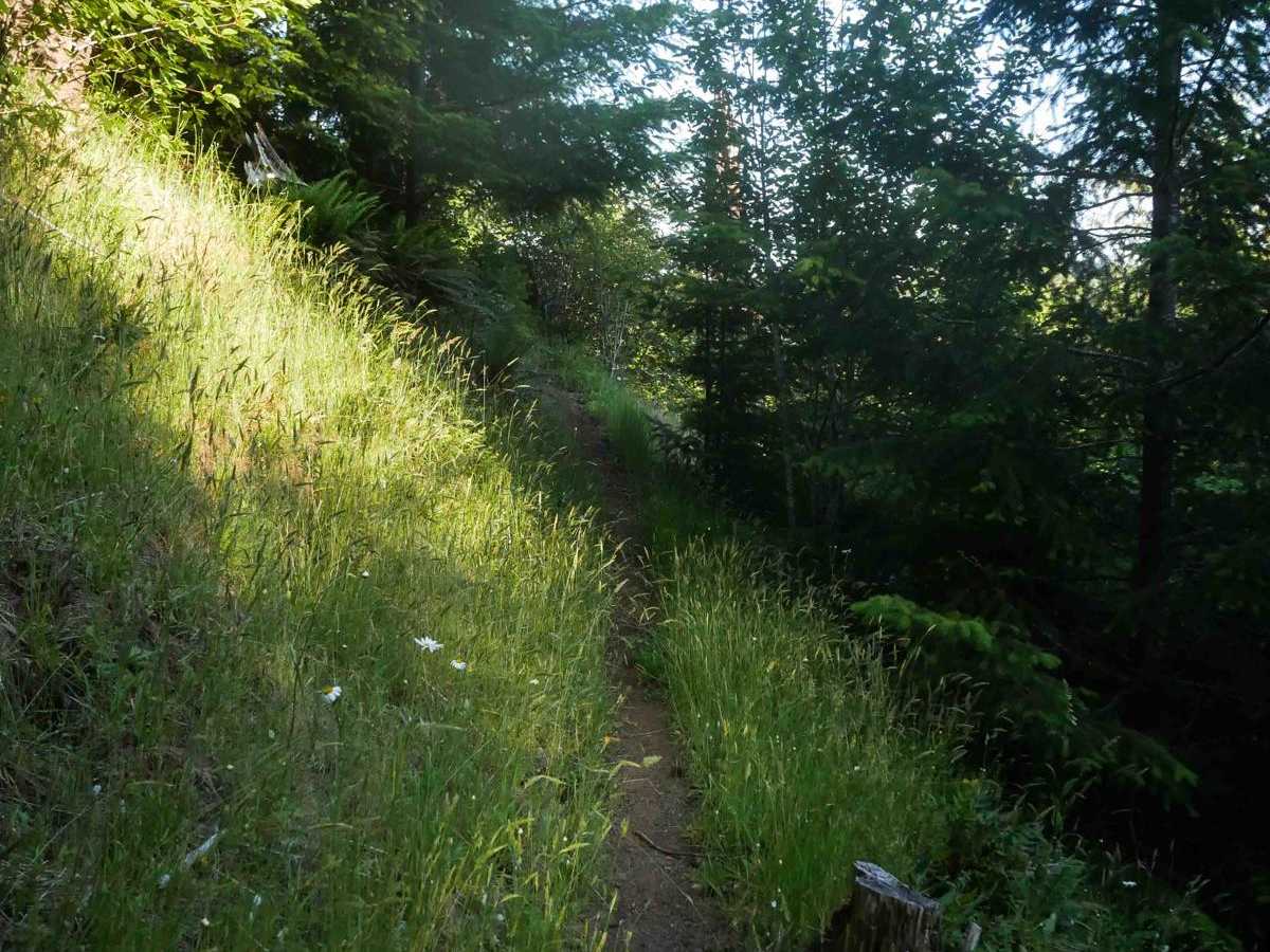 #70 trail photo