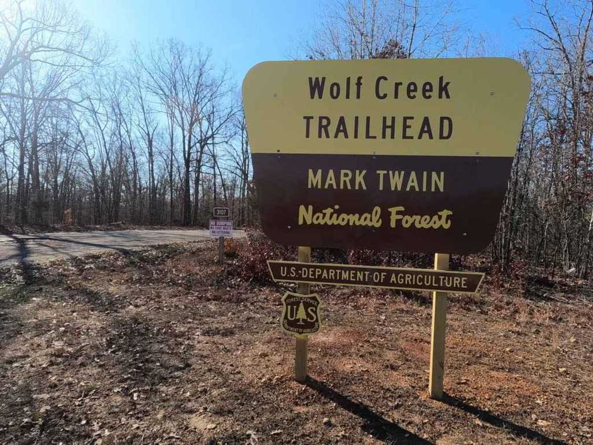 Wolf Creek FSR 3107 trail photo