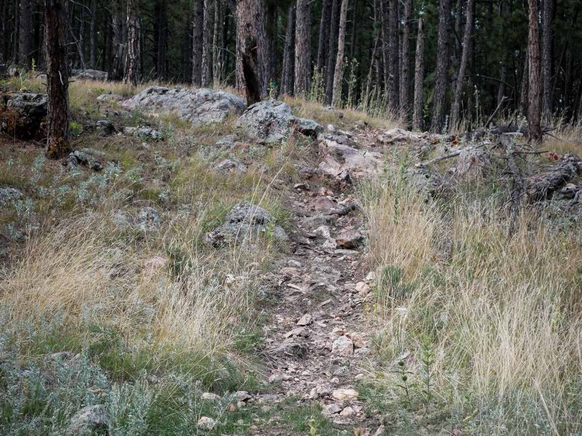 Devils Head 6660 photo 2