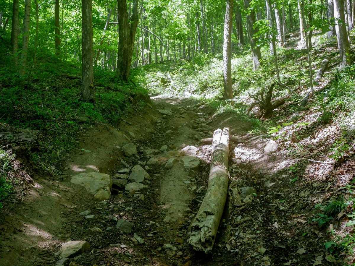 Trail 28 Razor Ridge photo 3