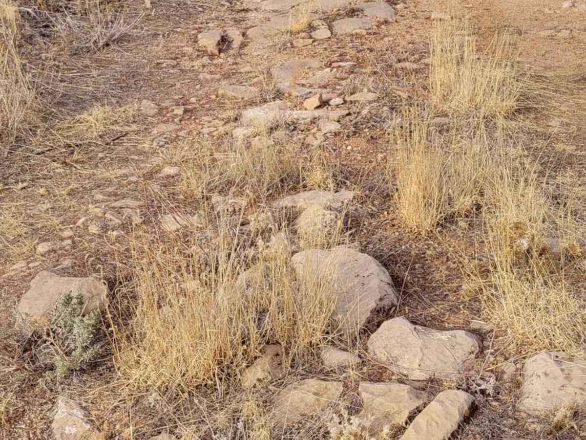 Sullivan Ridge photo 3