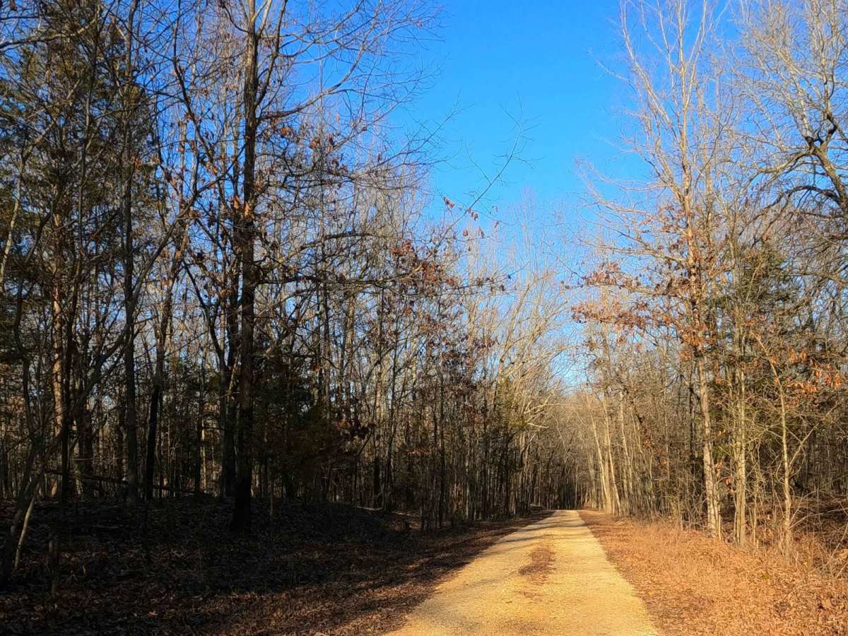 Powerline Road - FS 302 photo 5